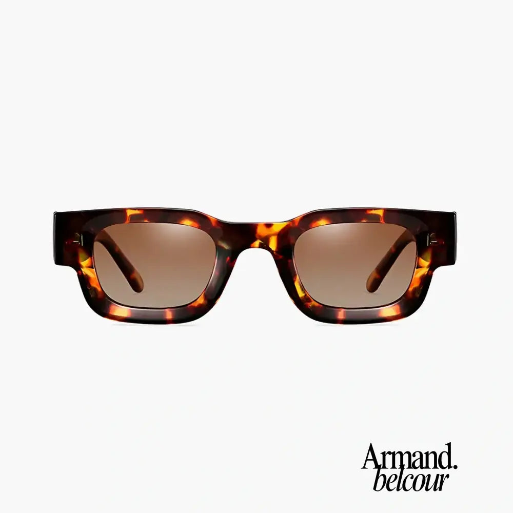 Cannes. Havana/Marrón